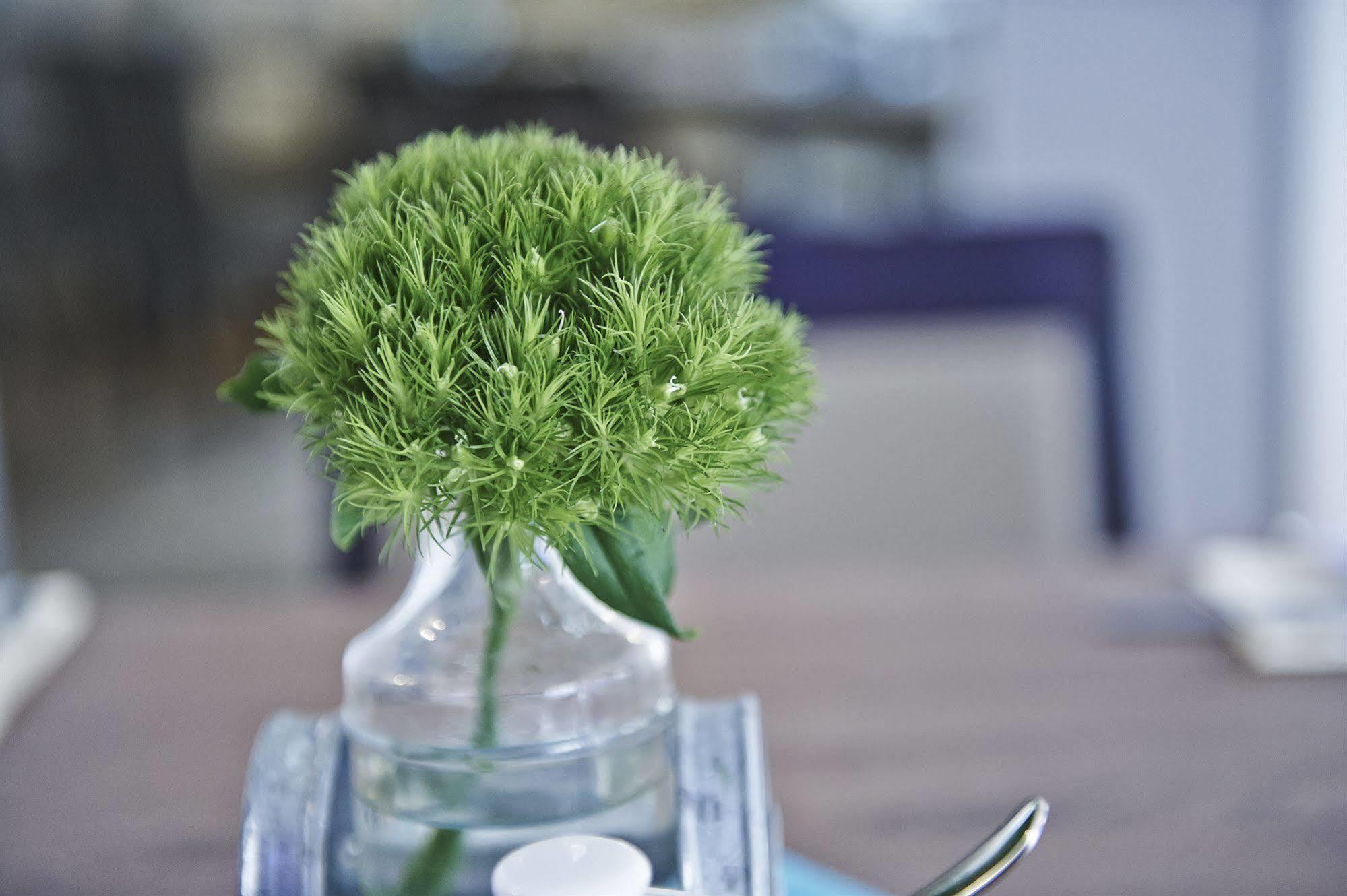 נירנברג Hotel Elch Boutique מראה חיצוני תמונה